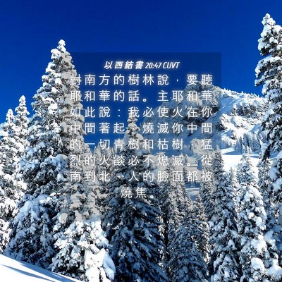 Picture 04 - 以 西 結 書 20:47 CUVT - 對 南 方 的 樹 林 說 ， 要 聽 耶 和 - Bible Verse Picture