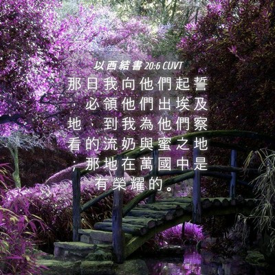 Picture 04 - 以 西 結 書 20:6 CUVT - 那 日 我 向 他 們 起 誓 ， 必 領 他 - Bible Verse Picture