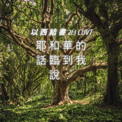 Picture 04 - 以 西 結 書 21:1 CUVT - 耶 和 華 的 話 臨 到 我 說 - Bible Verse Picture