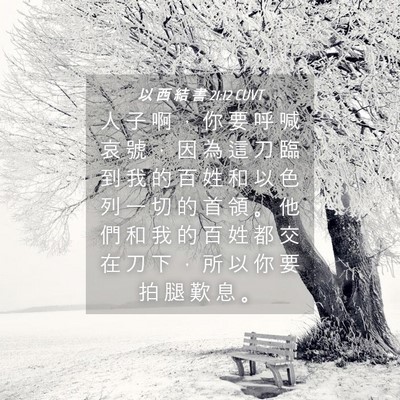 Picture 04 - 以 西 結 書 21:12 CUVT - 人 子 啊 ， 你 要 呼 喊 哀 號 ， 因 - Bible Verse Picture