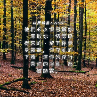 Picture 04 - 以 西 結 書 23:29 CUVT - 他 們 必 以 恨 惡 辦 你 ， 奪 取 你 - Bible Verse Picture