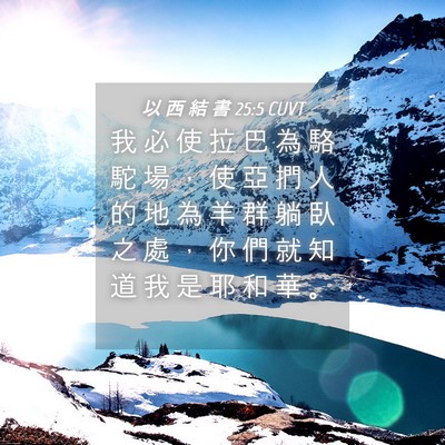 Picture 04 - 以 西 結 書 25:5 CUVT - 我 必 使 拉 巴 為 駱 駝 場 ， 使 亞 - Bible Verse Picture