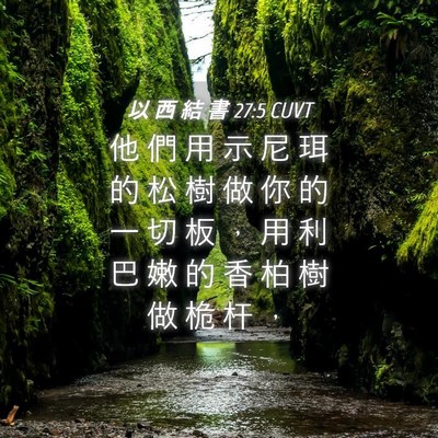 Picture 04 - 以 西 結 書 27:5 CUVT - 他 們 用 示 尼 珥 的 松 樹 做 你 的 - Bible Verse Picture