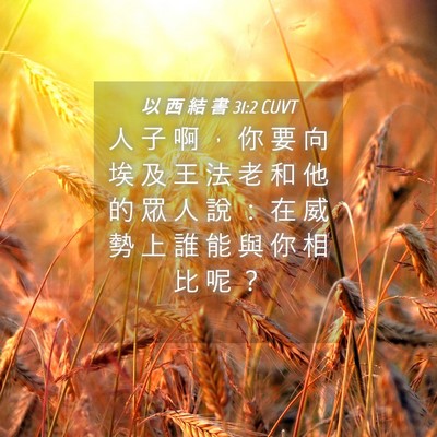 Picture 04 - 以 西 結 書 31:2 CUVT - 人 子 啊 ， 你 要 向 埃 及 王 法 老 - Bible Verse Picture