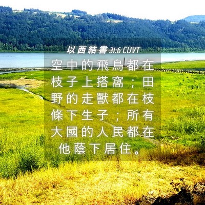 Picture 04 - 以 西 結 書 31:6 CUVT - 空 中 的 飛 鳥 都 在 枝 子 上 搭 窩 - Bible Verse Picture