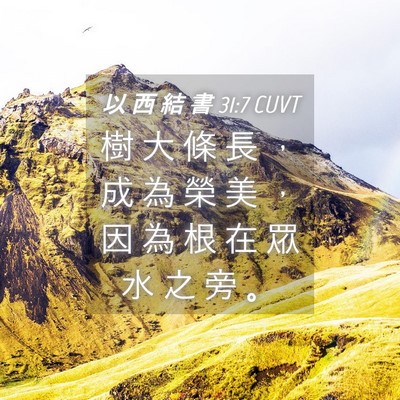 Picture 04 - 以 西 結 書 31:7 CUVT - 樹 大 條 長 ， 成 為 榮 美 ， 因 為 - Bible Verse Picture