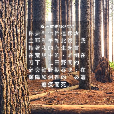 Picture 04 - 以 西 結 書 33:27 CUVT - 你 要 對 他 們 這 樣 說 ， 主 耶 和 - Bible Verse Picture