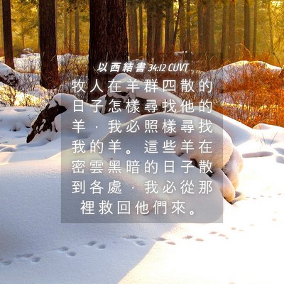 Picture 04 - 以 西 結 書 34:12 CUVT - 牧 人 在 羊 群 四 散 的 日 子 怎 樣 - Bible Verse Picture