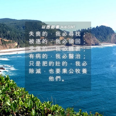 Picture 04 - 以 西 結 書 34:16 CUVT - 失 喪 的 ， 我 必 尋 找 ； 被 逐 的 - Bible Verse Picture