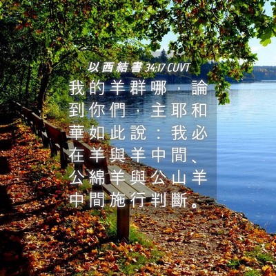 Picture 04 - 以 西 結 書 34:17 CUVT - 我 的 羊 群 哪 ， 論 到 你 們 ， 主 - Bible Verse Picture