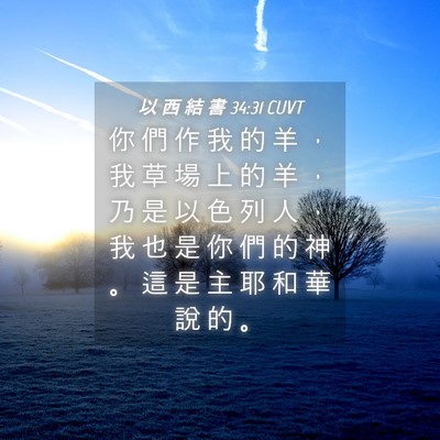 Picture 04 - 以 西 結 書 34:31 CUVT - 你 們 作 我 的 羊 ， 我 草 場 上 的 - Bible Verse Picture