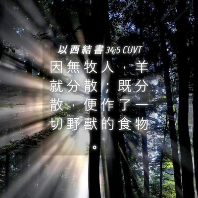 Picture 04 - 以 西 結 書 34:5 CUVT - 因 無 牧 人 ， 羊 就 分 散 ； 既 分 - Bible Verse Picture
