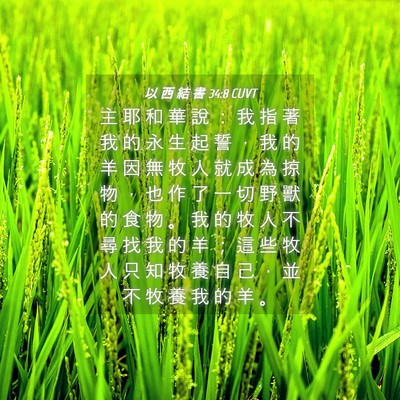 Picture 04 - 以 西 結 書 34:8 CUVT - 主 耶 和 華 說 ： 我 指 著 我 的 永 - Bible Verse Picture