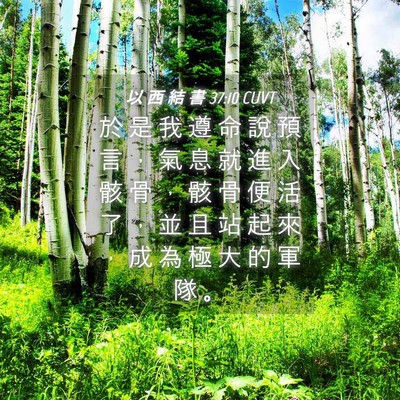 Picture 04 - 以 西 結 書 37:10 CUVT - 於 是 我 遵 命 說 預 言 ， 氣 息 就 - Bible Verse Picture