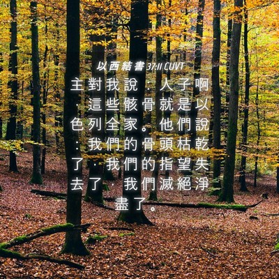 Picture 04 - 以 西 結 書 37:11 CUVT - 主 對 我 說 ： 人 子 啊 ， 這 些 骸 - Bible Verse Picture