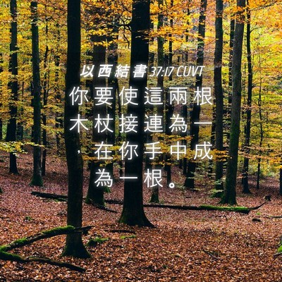 Picture 04 - 以 西 結 書 37:17 CUVT - 你 要 使 這 兩 根 木 杖 接 連 為 一 - Bible Verse Picture
