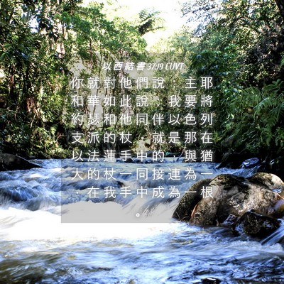 Picture 04 - 以 西 結 書 37:19 CUVT - 你 就 對 他 們 說 ： 主 耶 和 華 如 - Bible Verse Picture