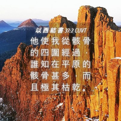 Picture 04 - 以 西 結 書 37:2 CUVT - 他 使 我 從 骸 骨 的 四 圍 經 過 ， - Bible Verse Picture