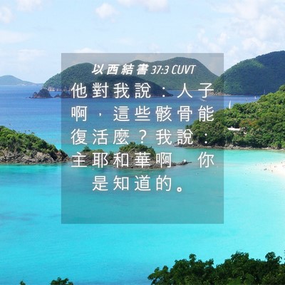 Picture 04 - 以 西 結 書 37:3 CUVT - 他 對 我 說 ： 人 子 啊 ， 這 些 骸 - Bible Verse Picture