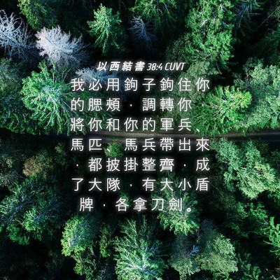 Picture 04 - 以 西 結 書 38:4 CUVT - 我 必 用 鉤 子 鉤 住 你 的 腮 頰 ， - Bible Verse Picture