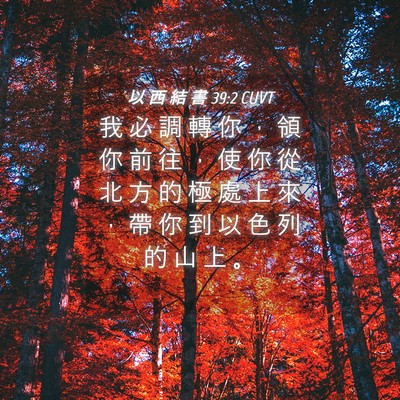 Picture 04 - 以 西 結 書 39:2 CUVT - 我 必 調 轉 你 ， 領 你 前 往 ， 使 - Bible Verse Picture