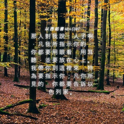 Picture 04 - 以 西 結 書 40:4 CUVT - 那 人 對 我 說 ： 人 子 啊 ， 凡 我 - Bible Verse Picture