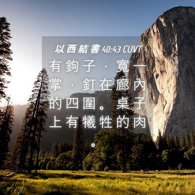 Picture 04 - 以 西 結 書 40:43 CUVT - 有 鉤 子 ， 寬 一 掌 ， 釘 在 廊 內 - Bible Verse Picture