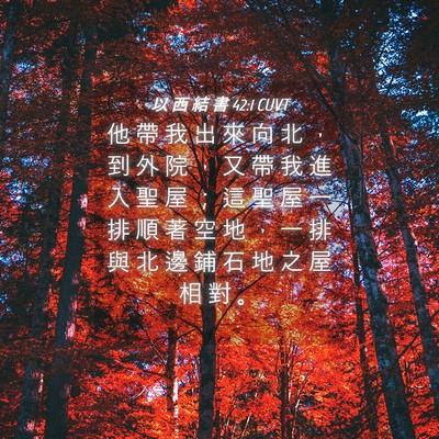 Picture 04 - 以 西 結 書 42:1 CUVT - 他 帶 我 出 來 向 北 ， 到 外 院 ， - Bible Verse Picture