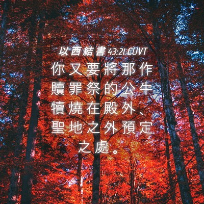 Picture 04 - 以 西 結 書 43:21 CUVT - 你 又 要 將 那 作 贖 罪 祭 的 公 牛 - Bible Verse Picture