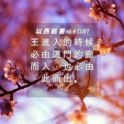 Picture 04 - 以 西 結 書 46:8 CUVT - 王 進 入 的 時 候 必 由 這 門 的 廊 - Bible Verse Picture