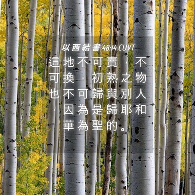 Picture 04 - 以 西 結 書 48:14 CUVT - 這 地 不 可 賣 ， 不 可 換 ， 初 熟 - Bible Verse Picture