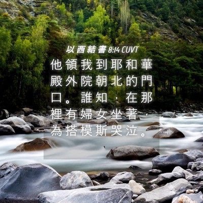 Picture 04 - 以 西 結 書 8:14 CUVT - 他 領 我 到 耶 和 華 殿 外 院 朝 北 - Bible Verse Picture