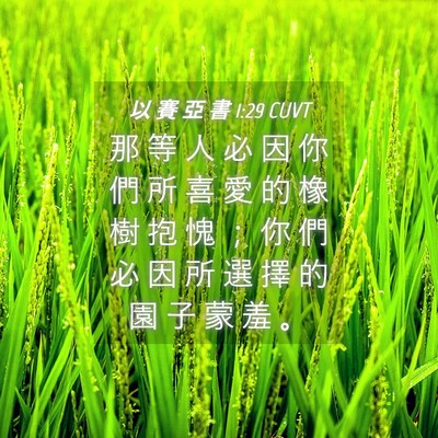 Picture 04 - 以 賽 亞 書 1:29 CUVT - 那 等 人 必 因 你 們 所 喜 愛 的 橡 - Bible Verse Picture
