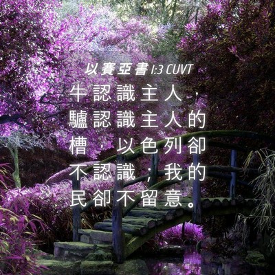 Picture 04 - 以 賽 亞 書 1:3 CUVT - 牛 認 識 主 人 ， 驢 認 識 主 人 的 - Bible Verse Picture