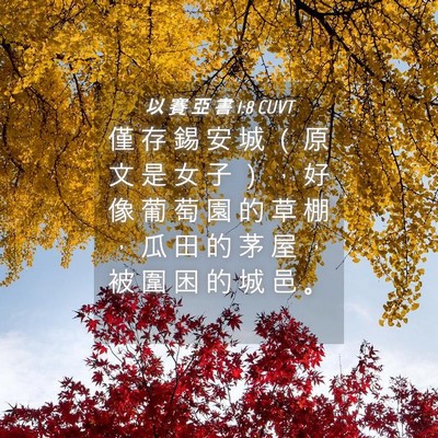 Picture 04 - 以 賽 亞 書 1:8 CUVT - 僅 存 錫 安 城 （ 原 文 是 女 子 ） - Bible Verse Picture