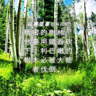 Picture 04 - 以 賽 亞 書 10:34 CUVT - 稠 密 的 樹 林 ， 他 要 用 鐵 器 砍 - Bible Verse Picture
