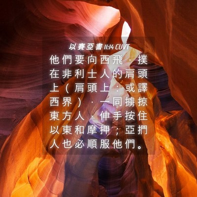 Picture 04 - 以 賽 亞 書 11:14 CUVT - 他 們 要 向 西 飛 ， 撲 在 非 利 士 - Bible Verse Picture