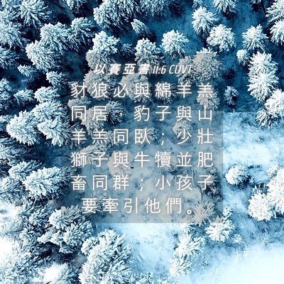 Picture 04 - 以 賽 亞 書 11:6 CUVT - 豺 狼 必 與 綿 羊 羔 同 居 ， 豹 子 - Bible Verse Picture