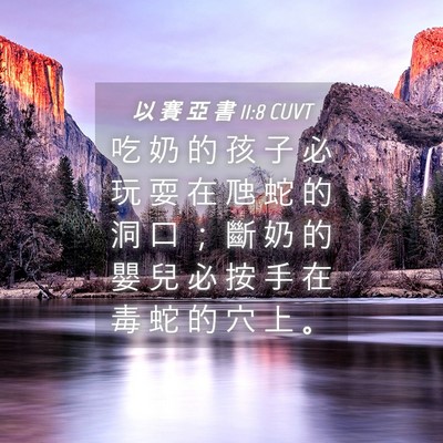 Picture 04 - 以 賽 亞 書 11:8 CUVT - 吃 奶 的 孩 子 必 玩 耍 在 虺 蛇 的 - Bible Verse Picture