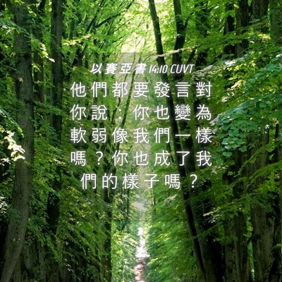 Picture 04 - 以 賽 亞 書 14:10 CUVT - 他 們 都 要 發 言 對 你 說 ： 你 也 - Bible Verse Picture