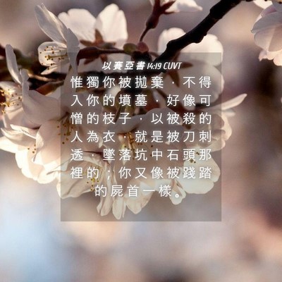 Picture 04 - 以 賽 亞 書 14:19 CUVT - 惟 獨 你 被 拋 棄 ， 不 得 入 你 的 - Bible Verse Picture
