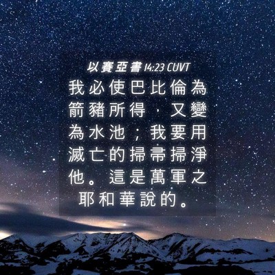 Picture 04 - 以 賽 亞 書 14:23 CUVT - 我 必 使 巴 比 倫 為 箭 豬 所 得 ， - Bible Verse Picture