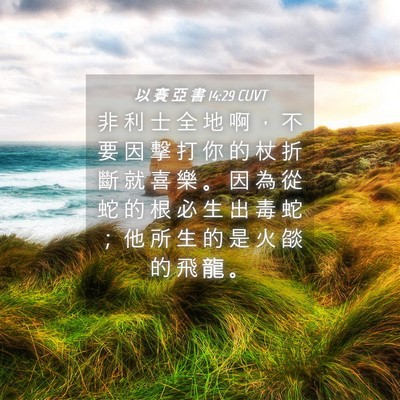 Picture 04 - 以 賽 亞 書 14:29 CUVT - 非 利 士 全 地 啊 ， 不 要 因 擊 打 - Bible Verse Picture