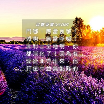 Picture 04 - 以 賽 亞 書 14:31 CUVT - 門 哪 ， 應 當 哀 號 ！ 城 啊 ， 應 - Bible Verse Picture