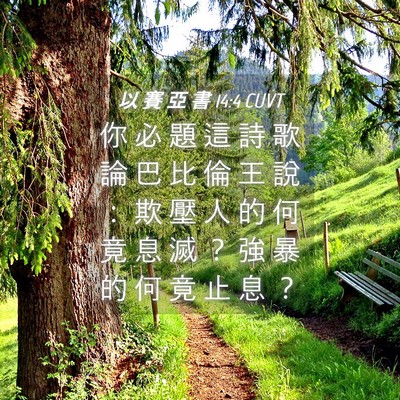 Picture 04 - 以 賽 亞 書 14:4 CUVT - 你 必 題 這 詩 歌 論 巴 比 倫 王 說 - Bible Verse Picture