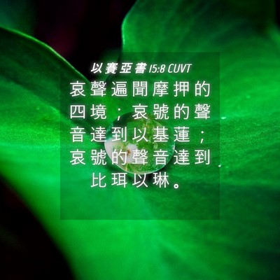 Picture 04 - 以 賽 亞 書 15:8 CUVT - 哀 聲 遍 聞 摩 押 的 四 境 ； 哀 號 - Bible Verse Picture