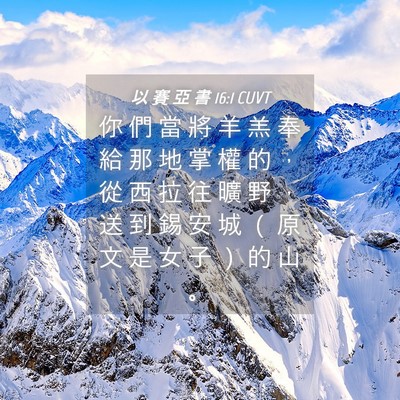 Picture 04 - 以 賽 亞 書 16:1 CUVT - 你 們 當 將 羊 羔 奉 給 那 地 掌 權 - Bible Verse Picture