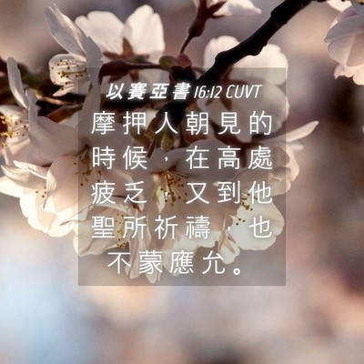 Picture 04 - 以 賽 亞 書 16:12 CUVT - 摩 押 人 朝 見 的 時 候 ， 在 高 處 - Bible Verse Picture