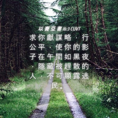 Picture 04 - 以 賽 亞 書 16:3 CUVT - 求 你 獻 謀 略 ， 行 公 平 ， 使 你 - Bible Verse Picture