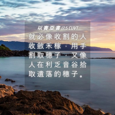 Picture 04 - 以 賽 亞 書 17:5 CUVT - 就 必 像 收 割 的 人 收 斂 禾 稼 ， - Bible Verse Picture
